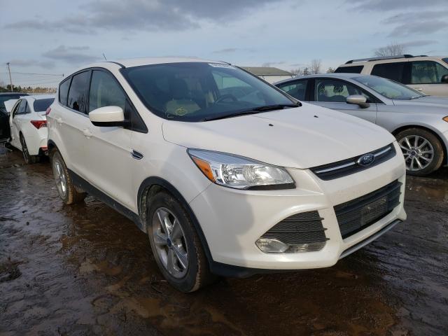 FORD ESCAPE SE 2014 1fmcu0gx6eud30323