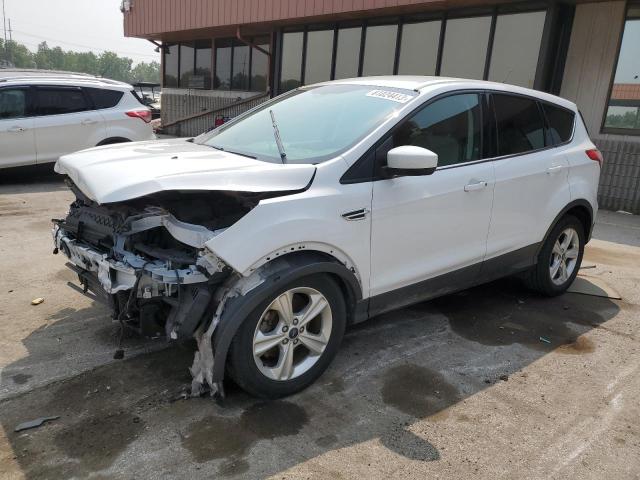 FORD ESCAPE SE 2014 1fmcu0gx6eud63046