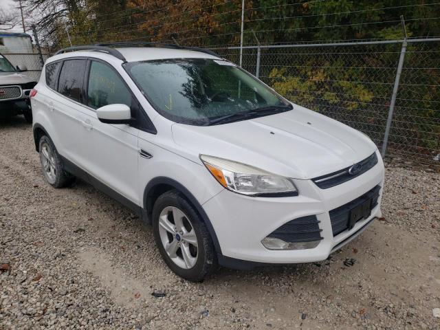 FORD ESCAPE SE 2013 1fmcu0gx7dub33272