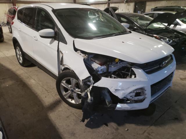 FORD ESCAPE SE 2013 1fmcu0gx7duc52729