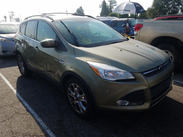 FORD ESCAPE SE 2013 1fmcu0gx7duc62242