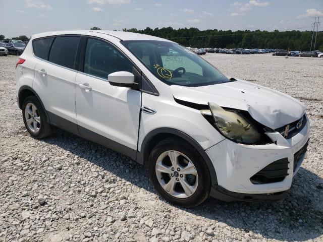 FORD ESCAPE SE 2013 1fmcu0gx7duc65898