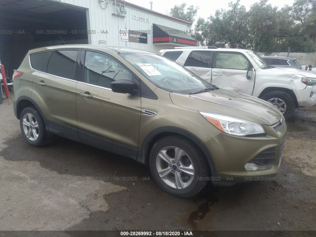 FORD ESCAPE 2013 1fmcu0gx7dud15862