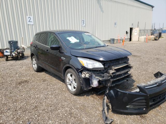 FORD ESCAPE SE 2013 1fmcu0gx7dud89928