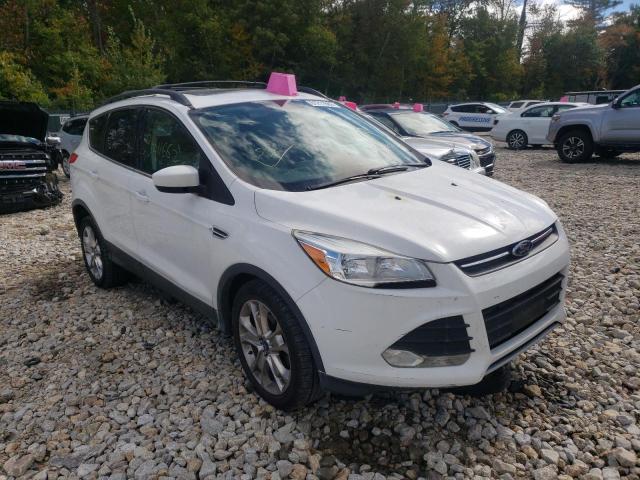 FORD ESCAPE SE 2014 1fmcu0gx7eub19731