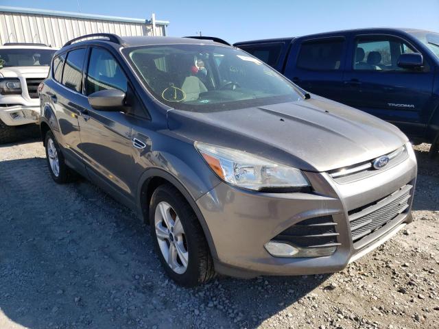 FORD ESCAPE SE 2014 1fmcu0gx7eub21527