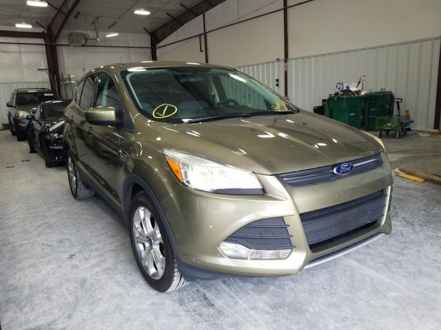 FORD ESCAPE SE 2014 1fmcu0gx7eub65592