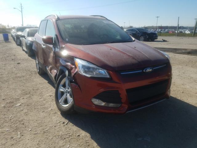 FORD ESCAPE SE 2014 1fmcu0gx7euc29338