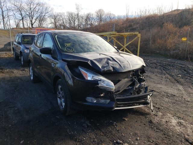 FORD ESCAPE SE 2014 1fmcu0gx7euc58466