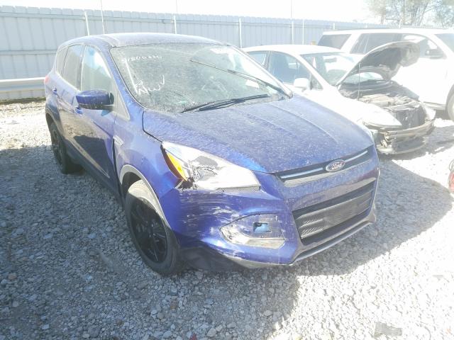 FORD ESCAPE SE 2014 1fmcu0gx7eud10288