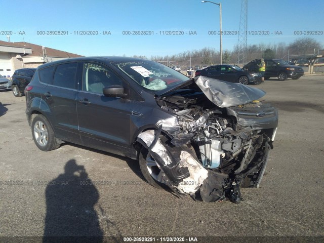 FORD ESCAPE 2014 1fmcu0gx7eud29942