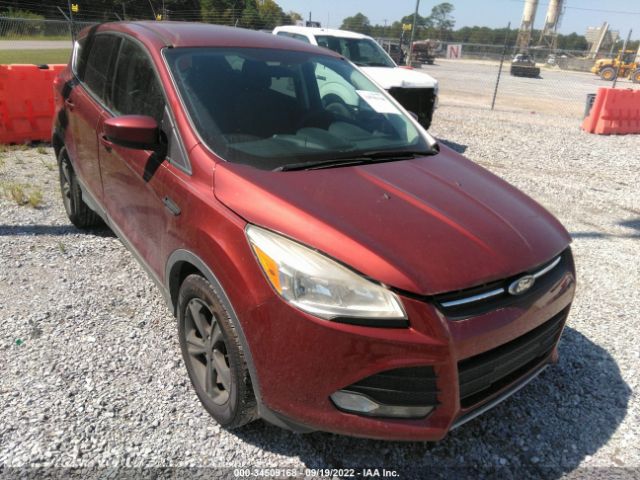 FORD ESCAPE 2014 1fmcu0gx7eue07491