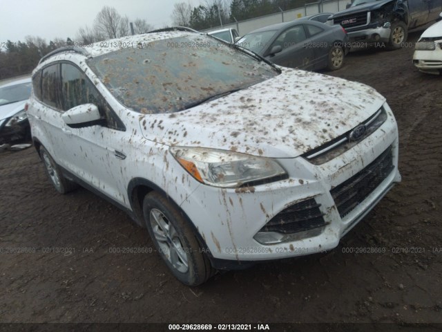 FORD ESCAPE 2016 1fmcu0gx7gub22079