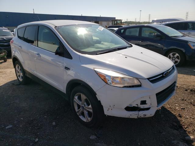 FORD ESCAPE SE 2013 1fmcu0gx8dua73924