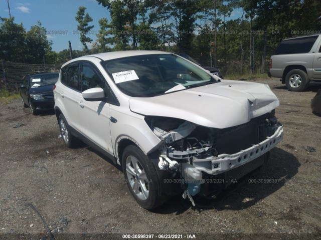 FORD ESCAPE 2013 1fmcu0gx8dub36939