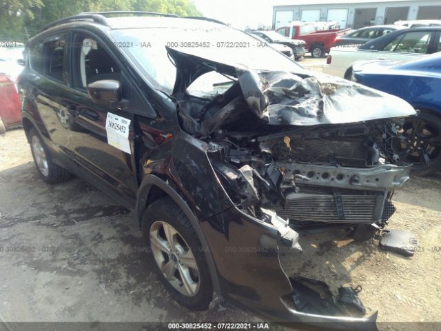 FORD ESCAPE 2013 1fmcu0gx8dub56415