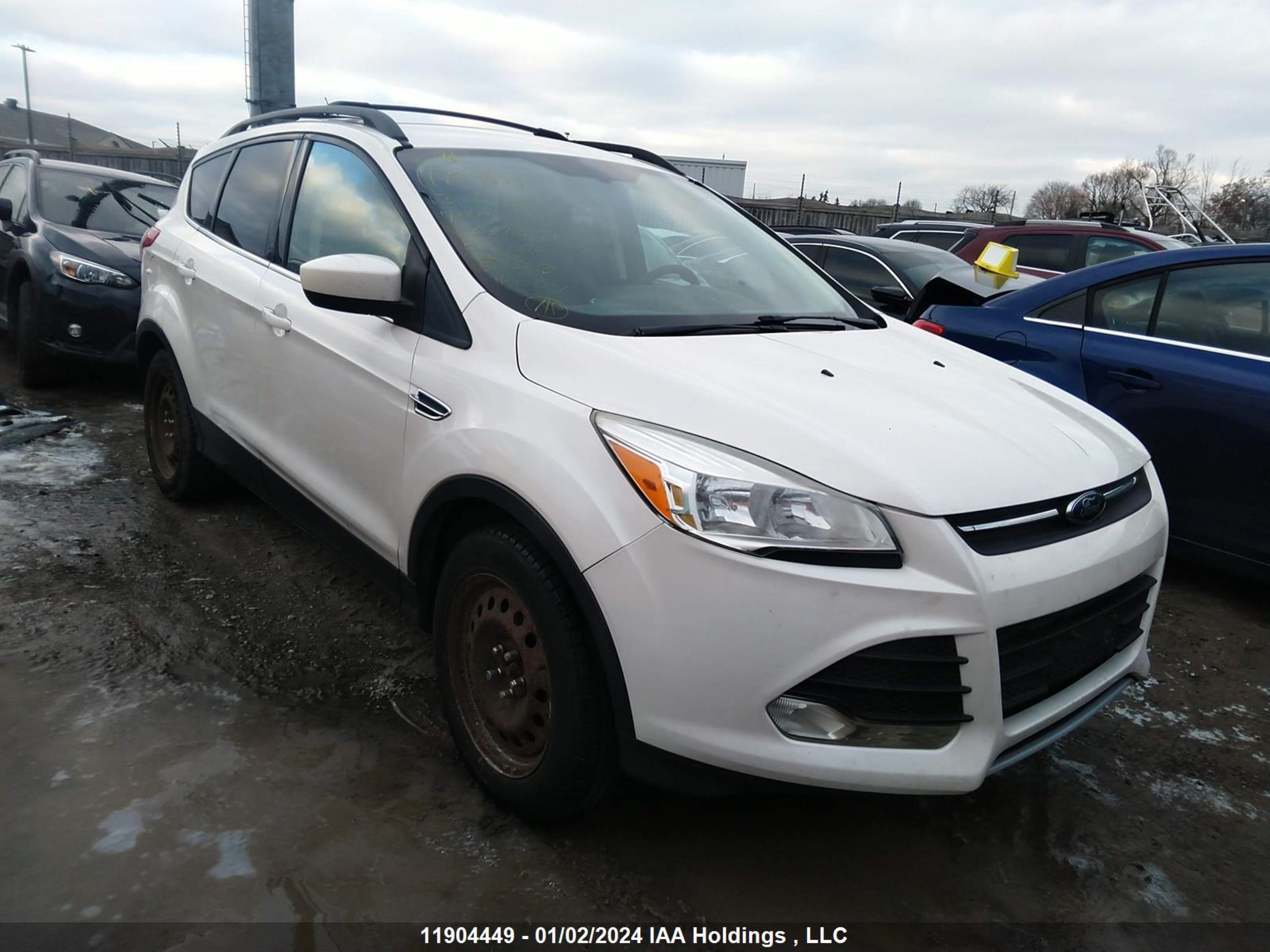 FORD ESCAPE 2013 1fmcu0gx8duc27869