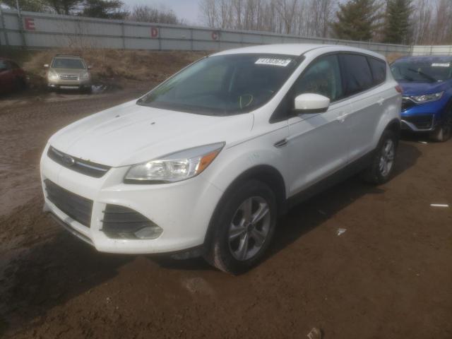 FORD ESCAPE SE 2013 1fmcu0gx8dud26434