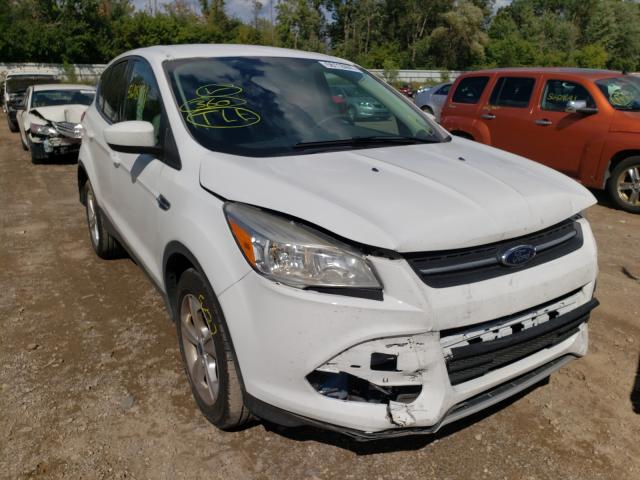 FORD ESCAPE SE 2014 1fmcu0gx8eua87159