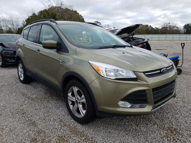 FORD ESCAPE SE 2014 1fmcu0gx8eua89994