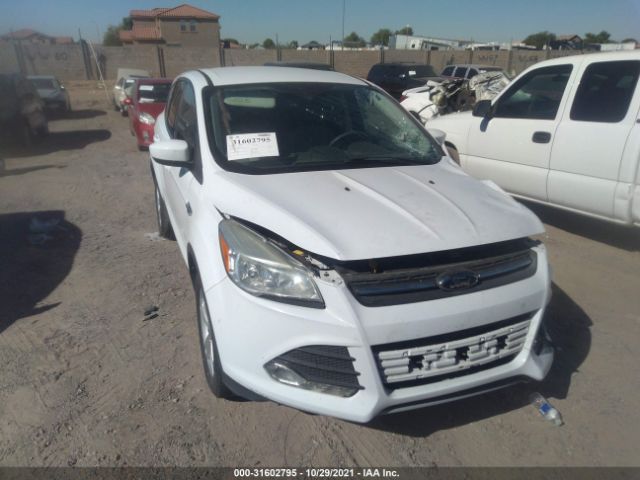 FORD ESCAPE 2014 1fmcu0gx8eub36201