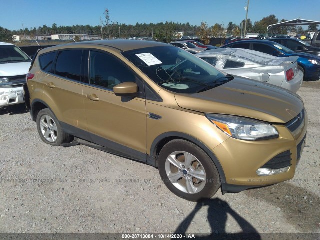 FORD ESCAPE 2014 1fmcu0gx8euc10653