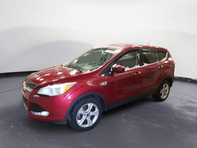 FORD ESCAPE SE 2014 1fmcu0gx8euc19675