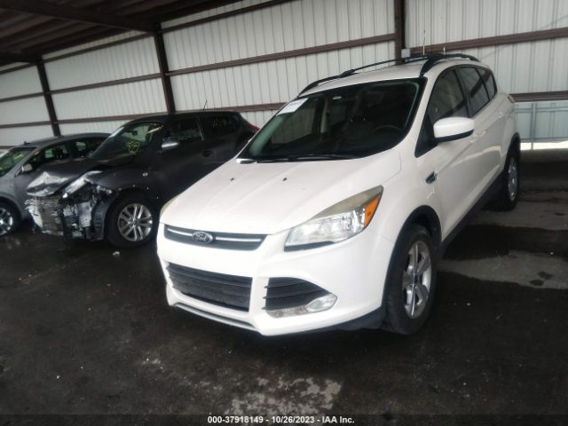 FORD ESCAPE 2014 1fmcu0gx8euc21202