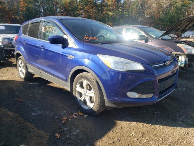 FORD ESCAPE 2014 1fmcu0gx8euc52661