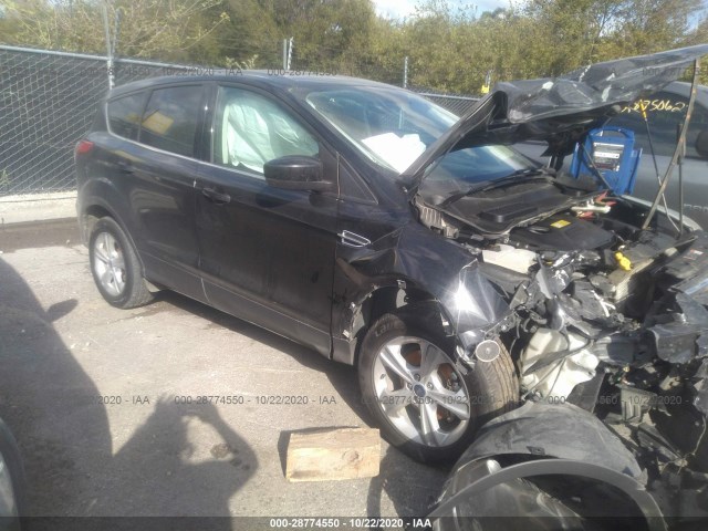 FORD ESCAPE 2014 1fmcu0gx8euc53793