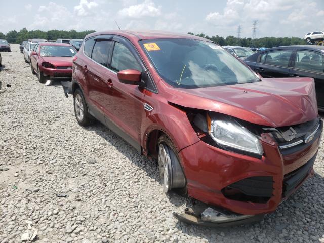 FORD ESCAPE SE 2014 1fmcu0gx8euc59125