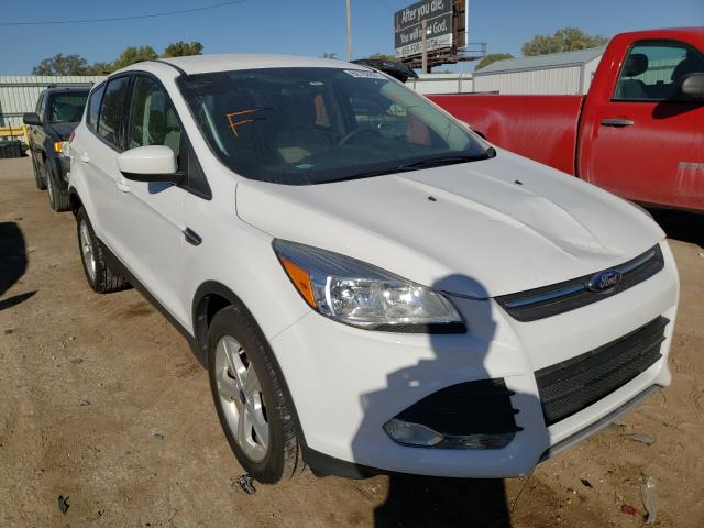 FORD ESCAPE SE 2014 1fmcu0gx8euc59657