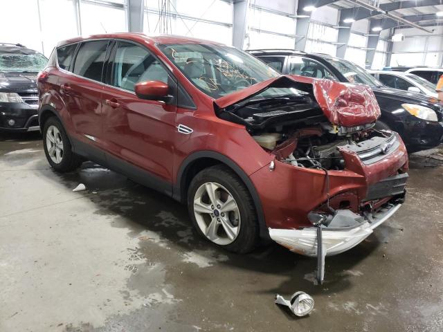 FORD ESCAPE SE 2014 1fmcu0gx8eud50203