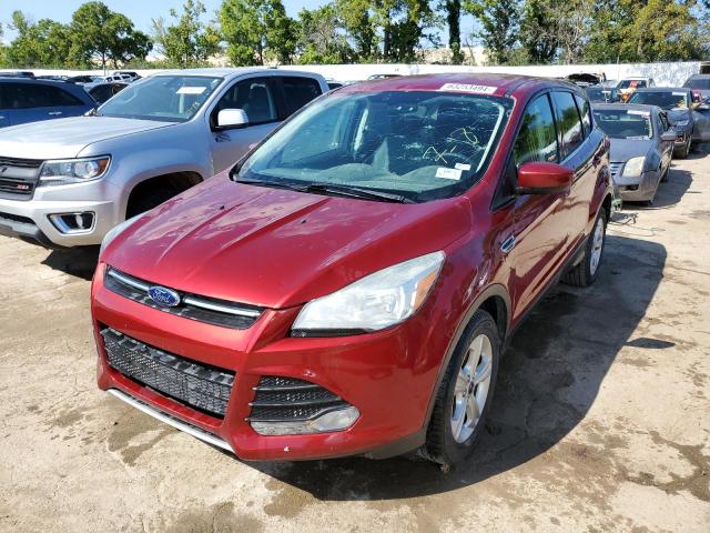 FORD ESCAPE SE 2014 1fmcu0gx8eud71181