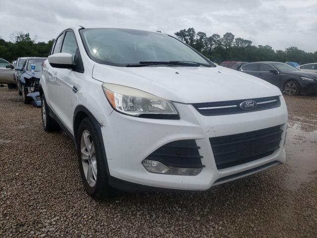 FORD ESCAPE SE 2014 1fmcu0gx8eud93729