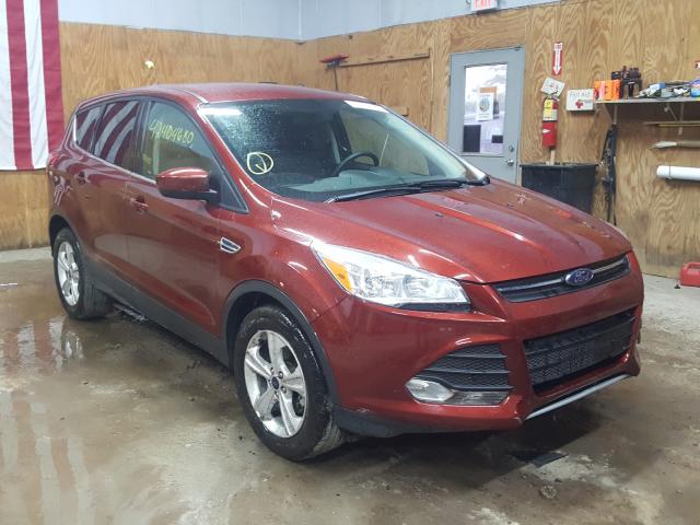 FORD ESCAPE SE 2014 1fmcu0gx8eue10982