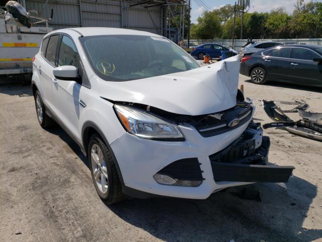 FORD ESCAPE SE 2014 1fmcu0gx8eue52035