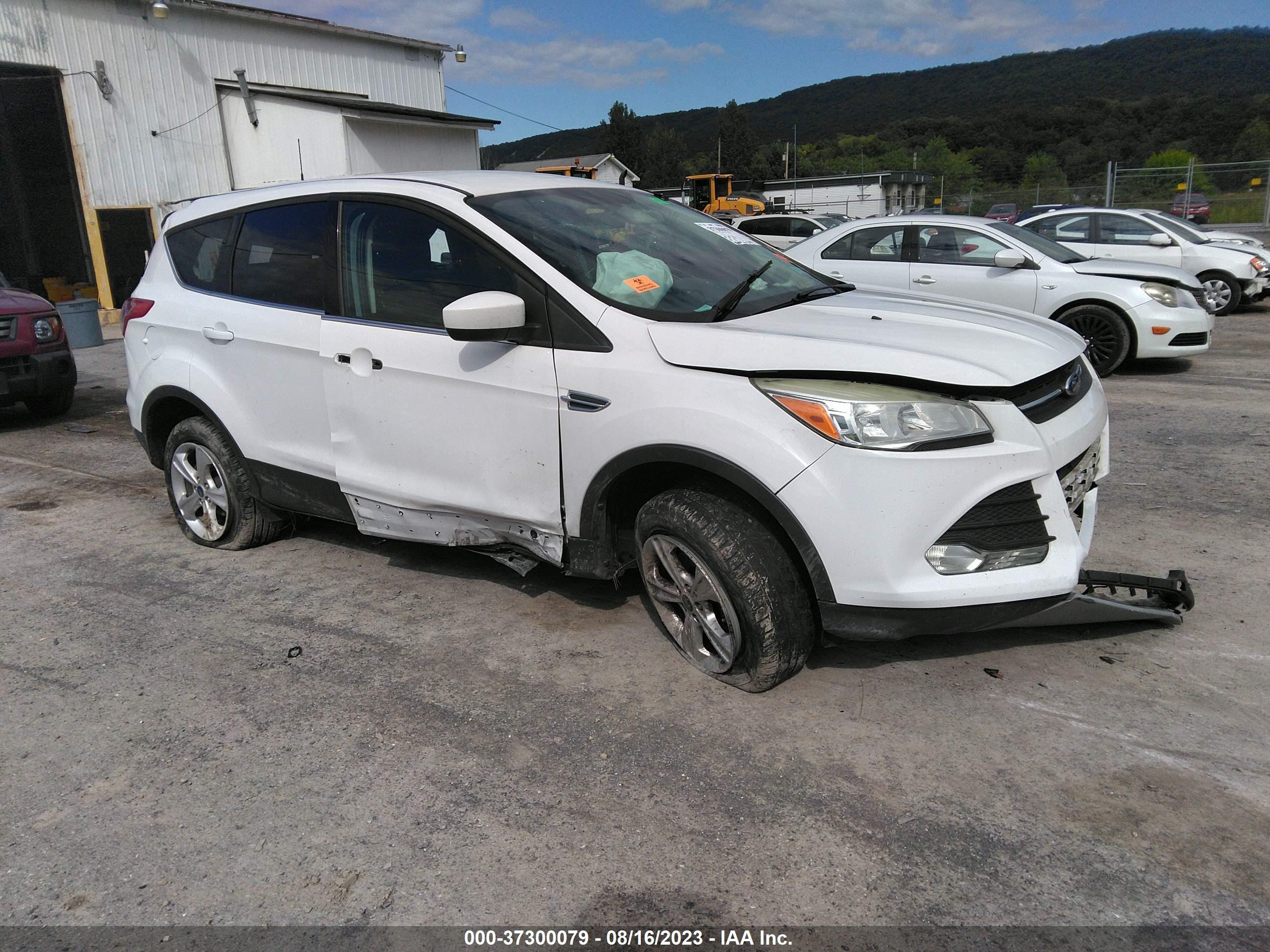 FORD ESCAPE 2014 1fmcu0gx8eue55162