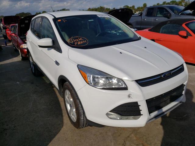 FORD ESCAPE SE 2013 1fmcu0gx9dua74144