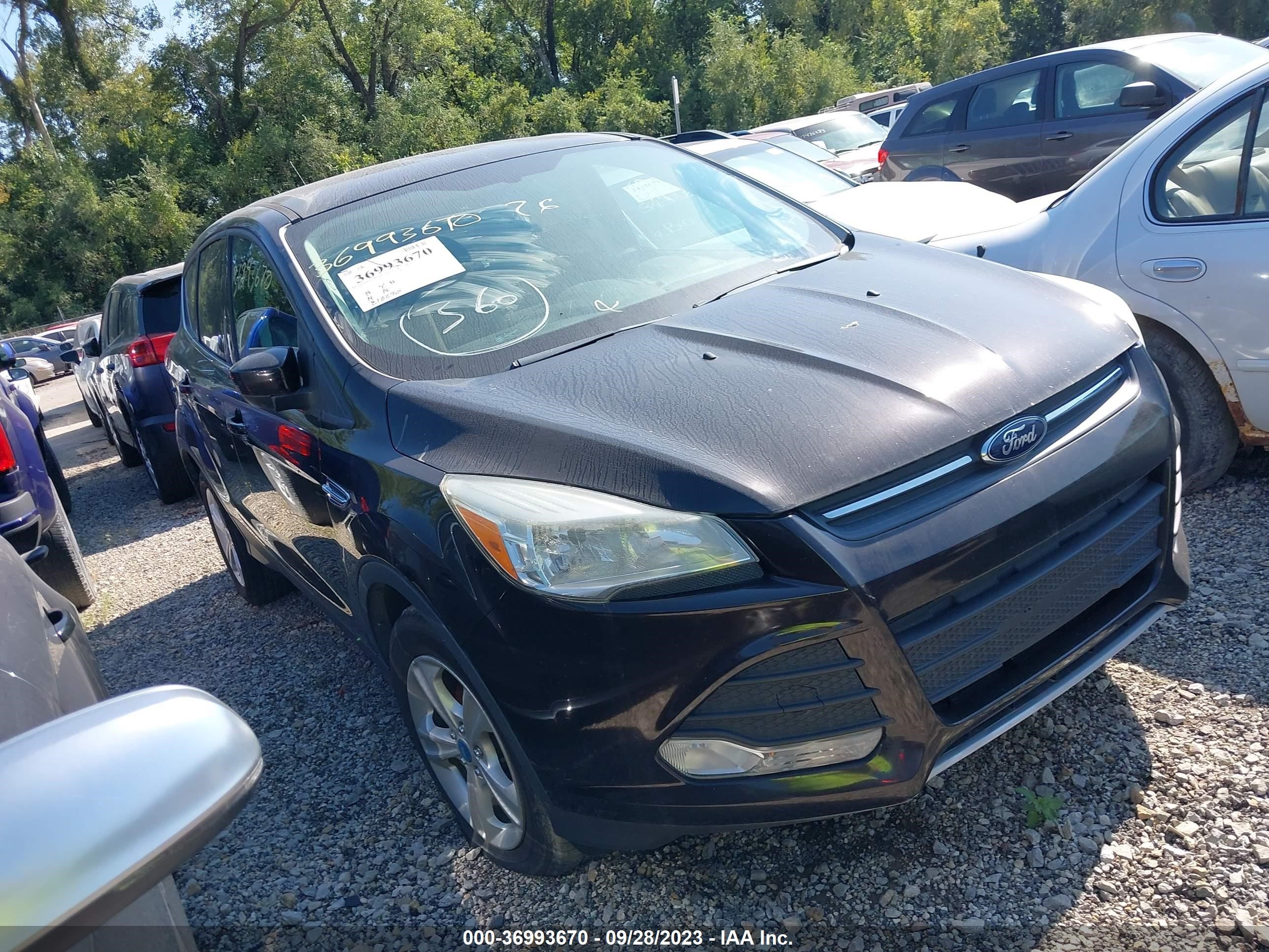 FORD ESCAPE 2013 1fmcu0gx9dua93616