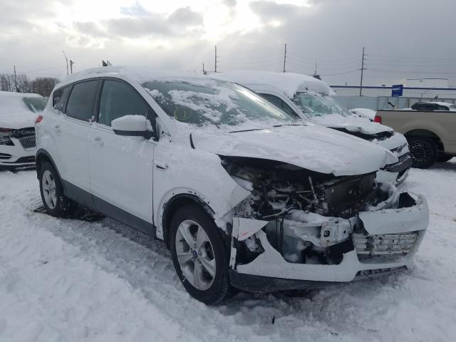 FORD ESCAPE SE 2013 1fmcu0gx9dub21317