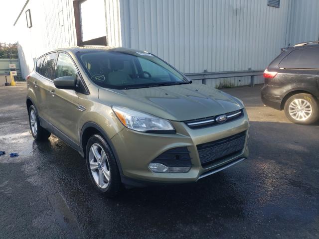 FORD ESCAPE SE 2013 1fmcu0gx9dub36187