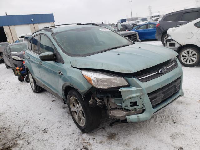 FORD ESCAPE 2013 1fmcu0gx9dub81307