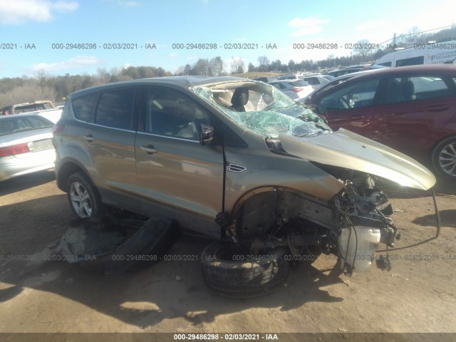 FORD ESCAPE 2013 1fmcu0gx9duc37701