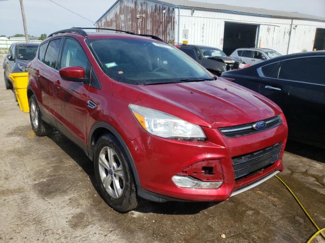 FORD NULL 2013 1fmcu0gx9duc52568