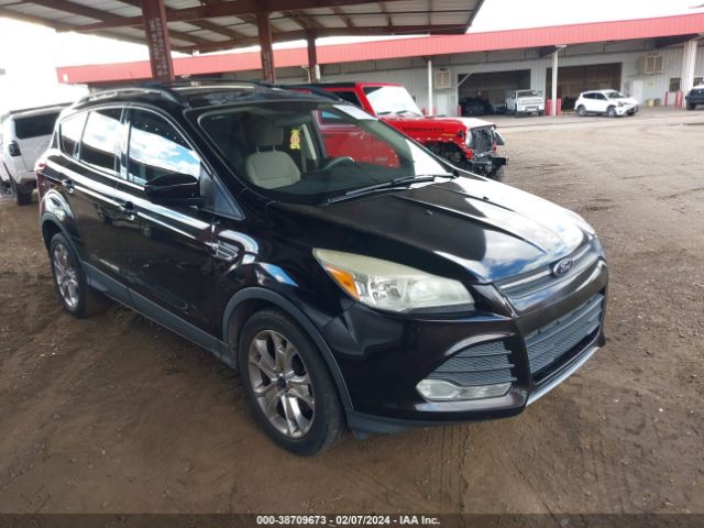 FORD ESCAPE 2013 1fmcu0gx9dud54839