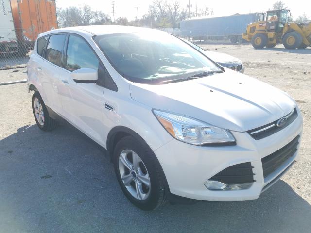 FORD ESCAPE SE 2014 1fmcu0gx9eua04290