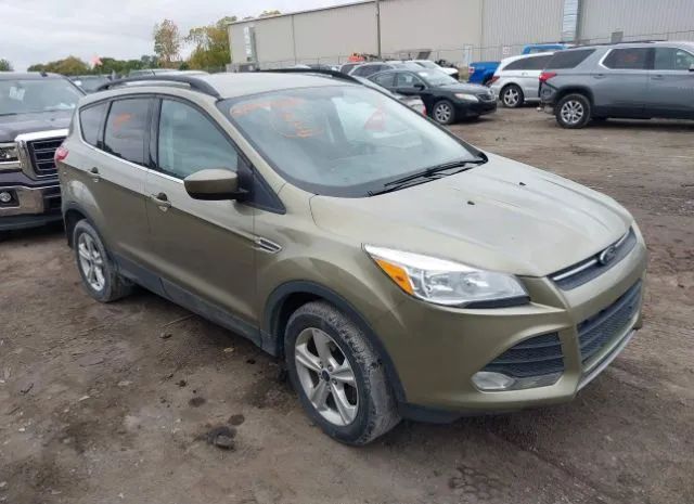 FORD ESCAPE 2014 1fmcu0gx9eua69401