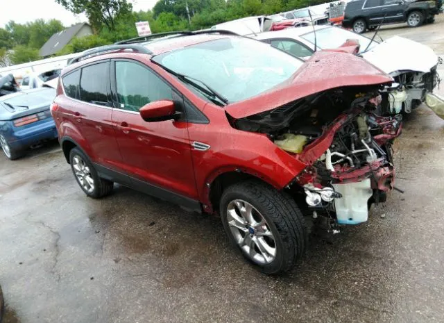 FORD ESCAPE 2014 1fmcu0gx9eua99899