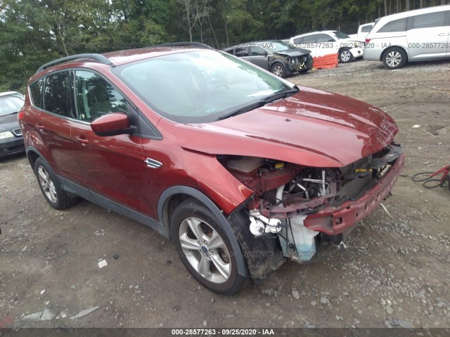 FORD ESCAPE 2014 1fmcu0gx9eub05734